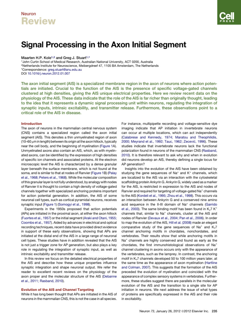 Axon Initial Segment: Signal Processing Insights | PDF | Axon | Neuron