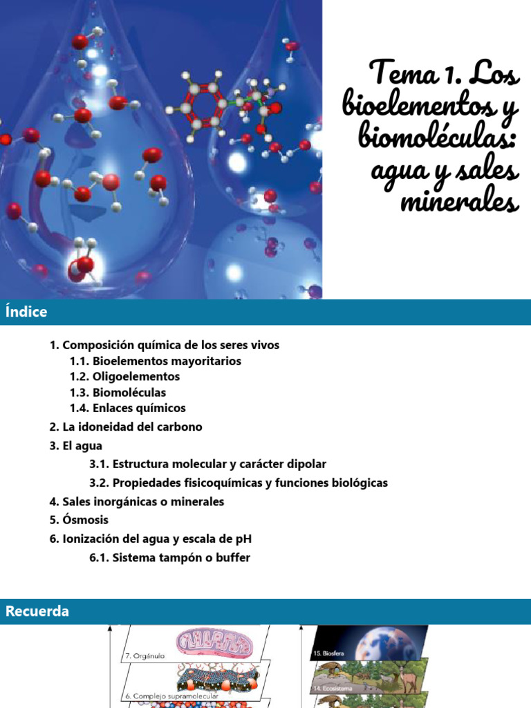 Bioelementos y biomoléculas esenciales | PDF | Biomoléculas | Organismos
