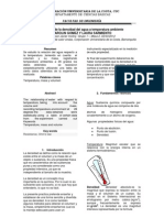 Lab Oratorio de Calor Ondas