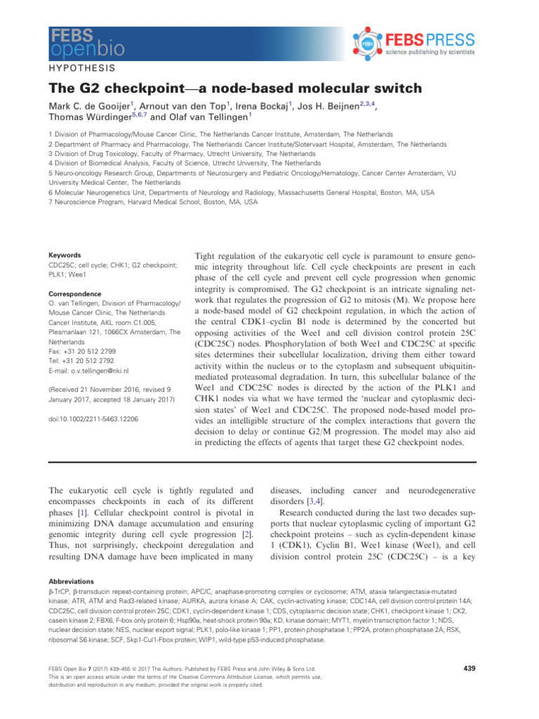 G2 Checkpoint Regulation Model Explained | PDF | Cell Cycle | Proteins
