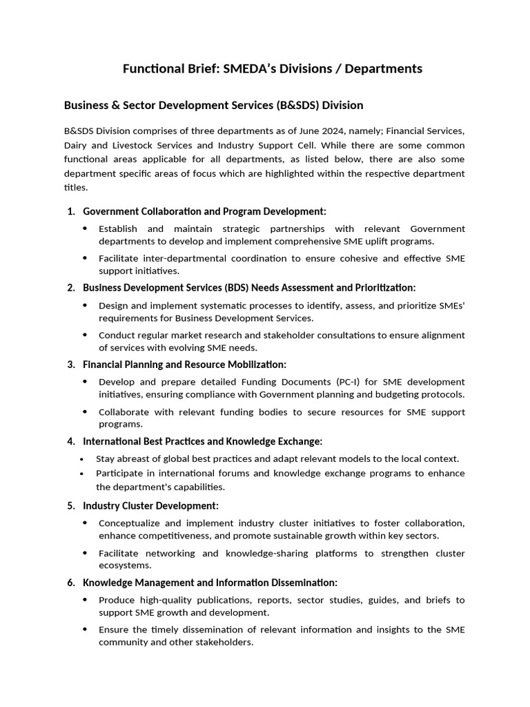 Functional Brief & JDs B&SDS 01 July 2024 | PDF | Financial Inclusion ...