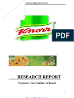 Knorr Customer Satisfaction Research Report