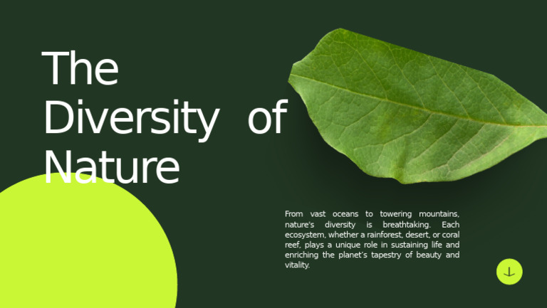 Exploring Nature's Diverse Ecosystems | PDF