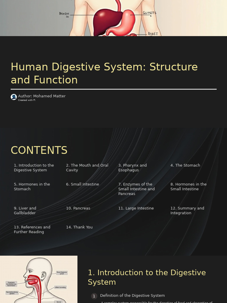 Human Digestive System - Struc... | PDF | Digestion | Stomach