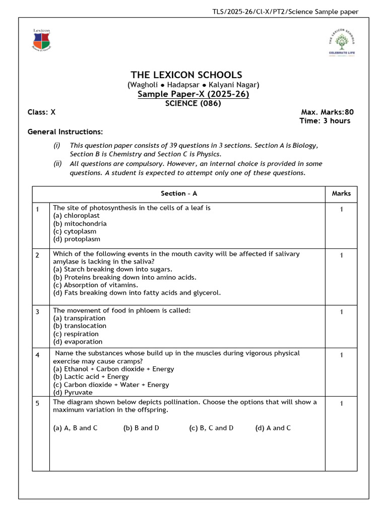 HY Science Sample Paper New Format (2025-26) | PDF | Sodium Hydroxide ...