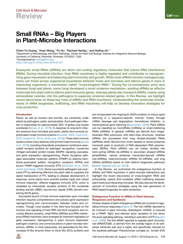 Small RNAs in Plant-Microbe Interactions | PDF | Rna Interference ...