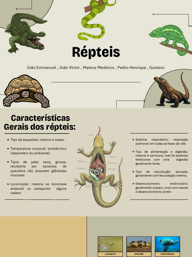Características e Classificação dos Répteis | PDF | Aves | Tartaruga