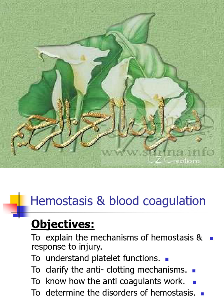 Hemostasis and Blood Coagulation Mechanisms | PDF | Coagulation | Platelet