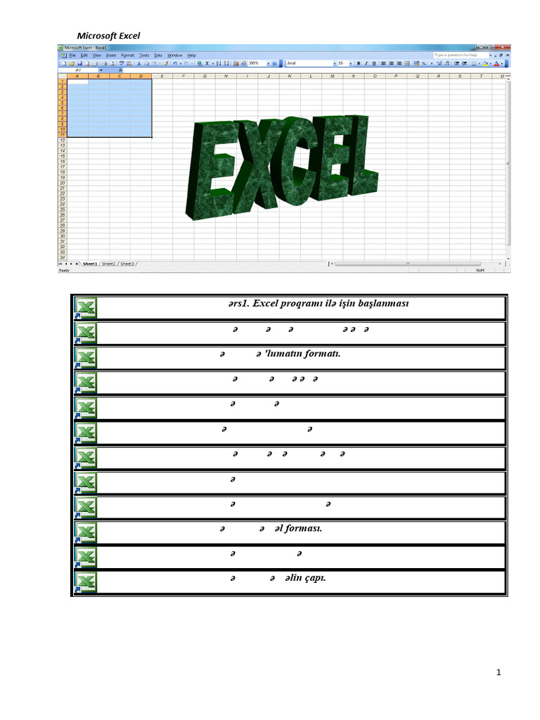 Microsoft Excel | PDF