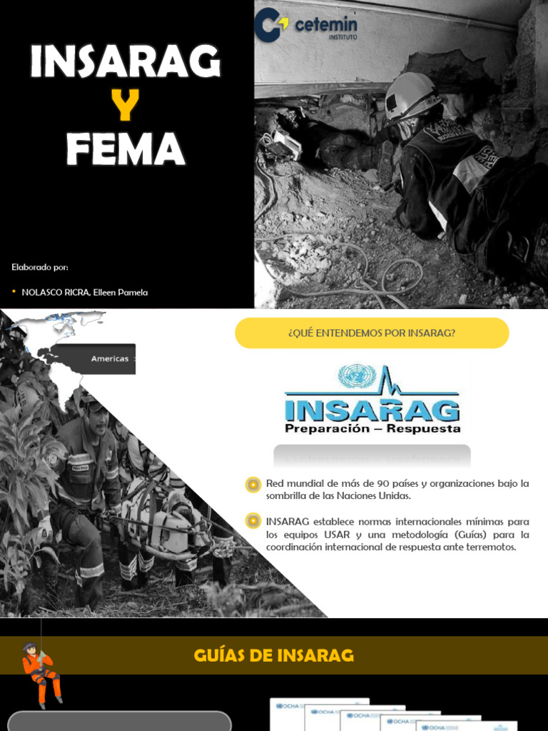 Guía de Normas INSARAG para USAR | PDF