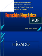 Funcion Hepatica