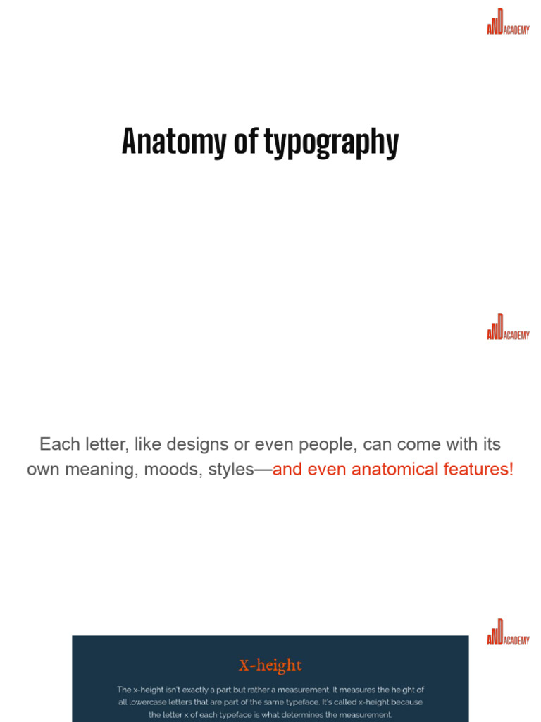Understanding Typography Anatomy | PDF