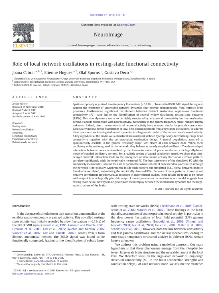 Local Network Oscillations and Connectivity | PDF | Neural Oscillation ...