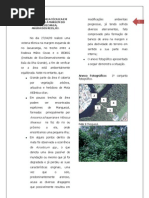 LAUDO DE VISTORIA TÉCNICA EM UMA SITUAÇÃO À MARGEM DO