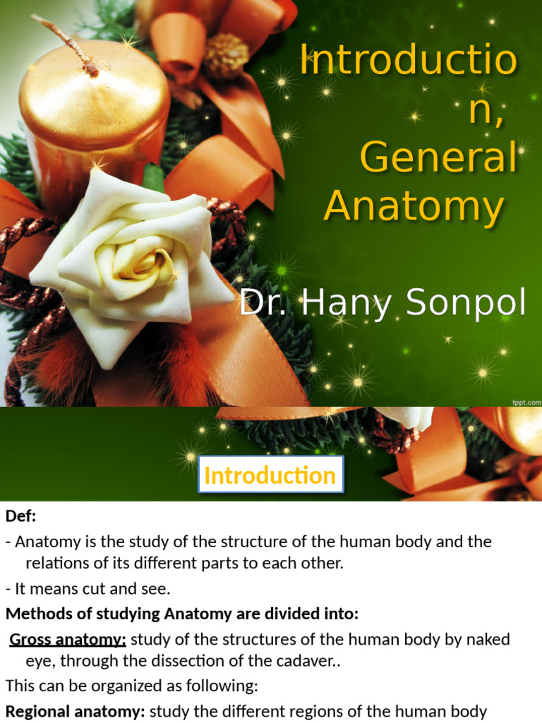 Overview of Human Anatomy Basics | PDF | Anatomical Terms Of Motion ...