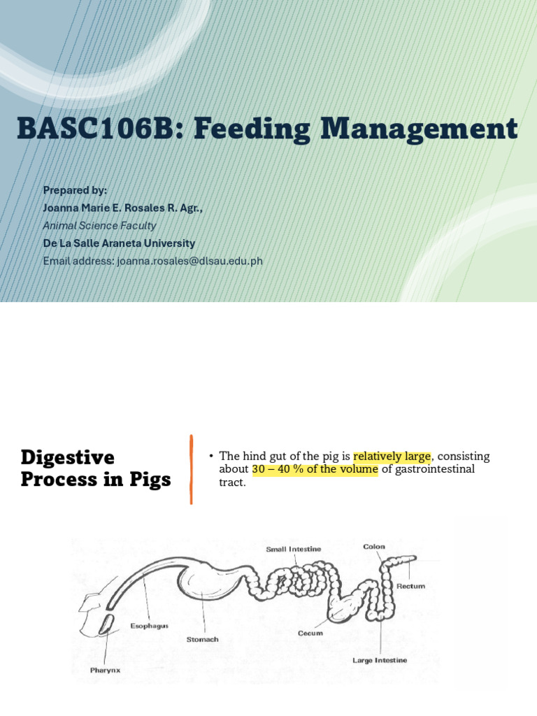 Essential Swine Feeding Management Guide | PDF | Nutrients | Vitamin