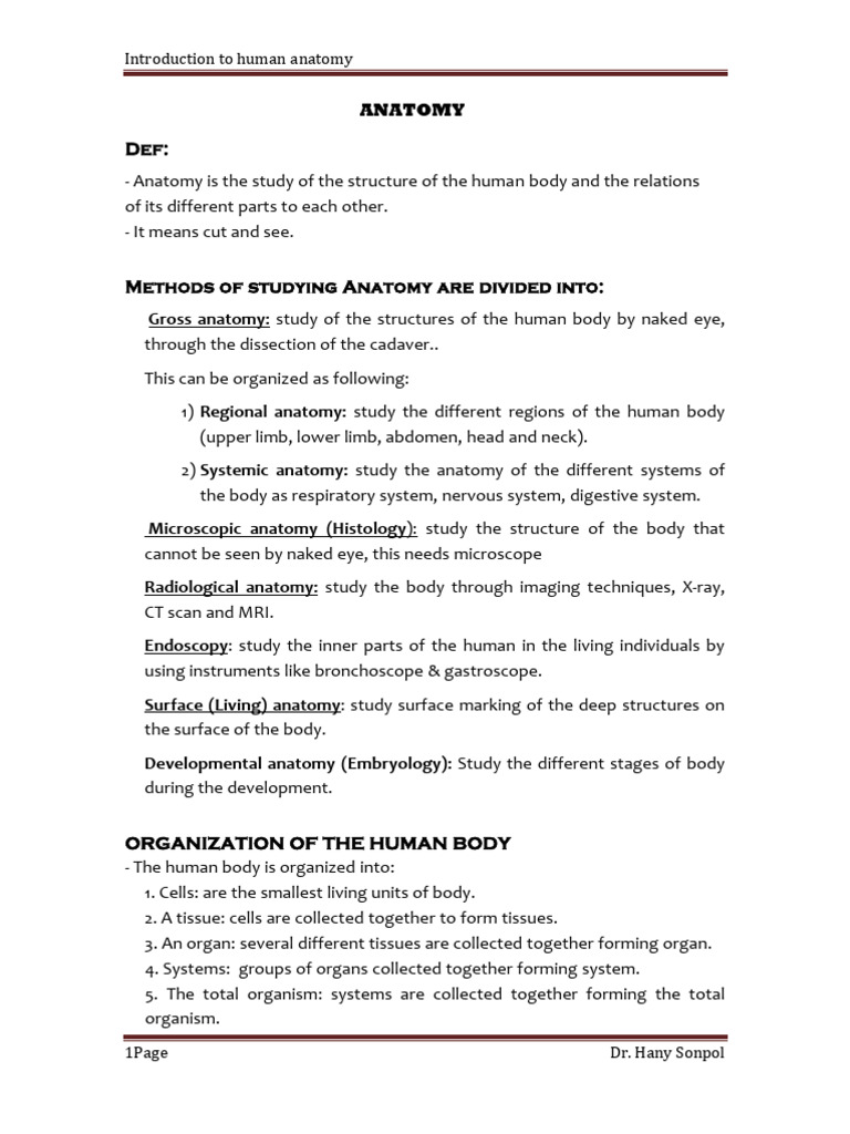 Human Anatomy Overview and Terminology | PDF | Anatomical Terms Of ...