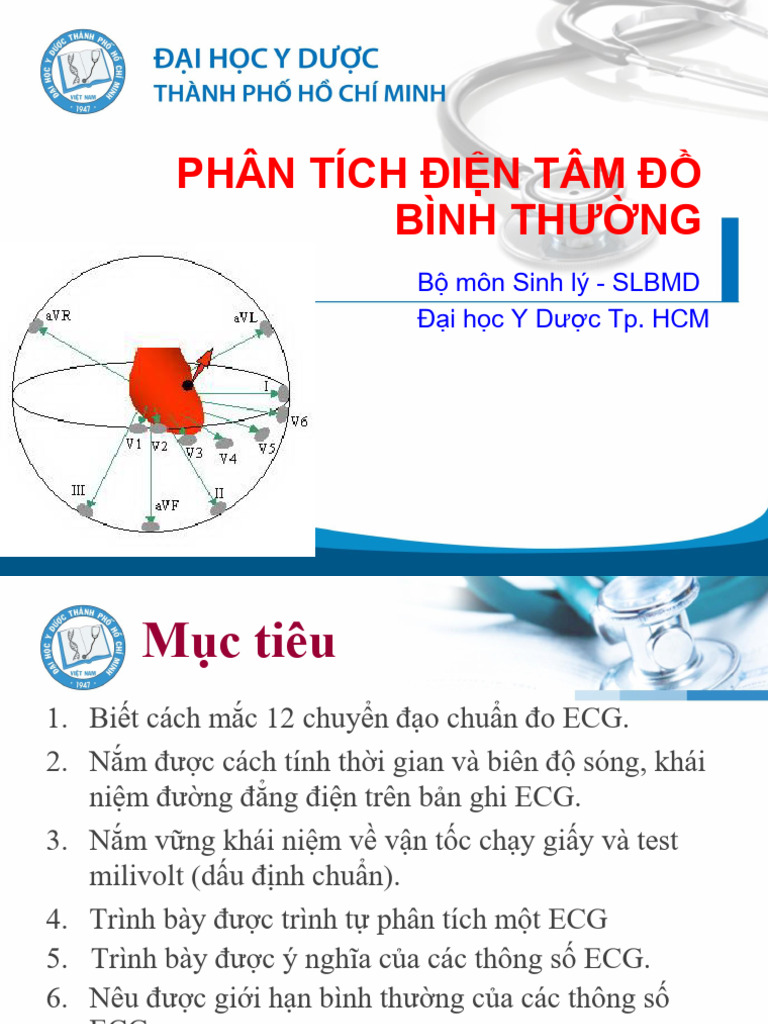 Ecg BMSL 2019 | PDF