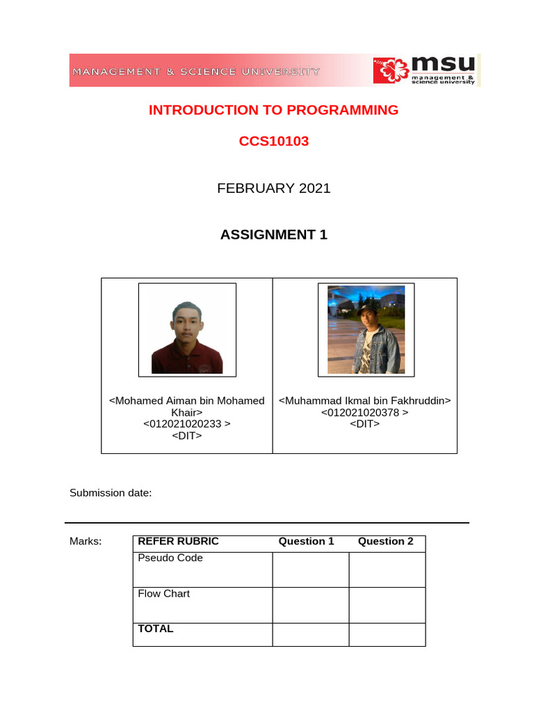 Assignment 1 | PDF | Body Mass Index