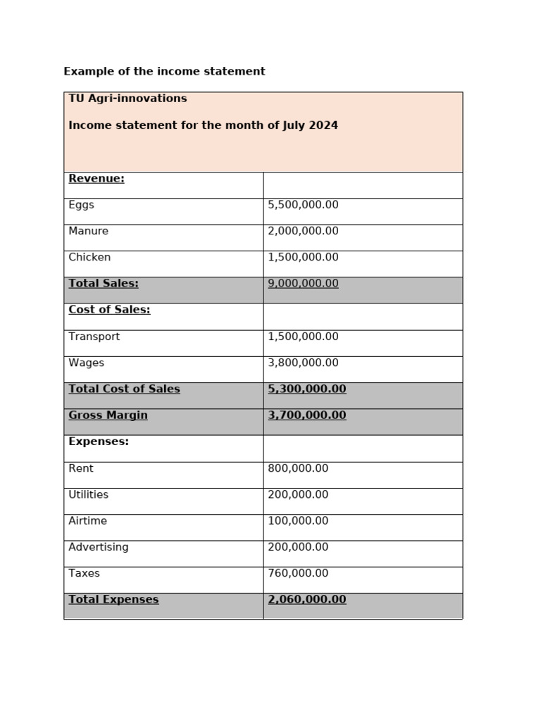 Example of the Income Statement | PDF