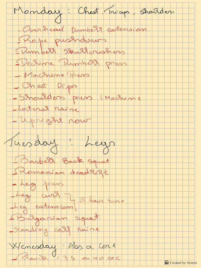 Sport Workout | PDF
