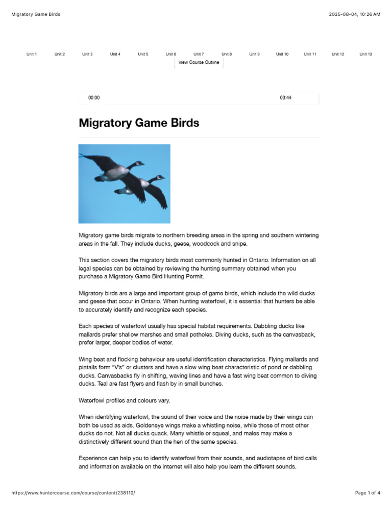 Understanding Migratory Game Birds | PDF | Duck | Bird Migration