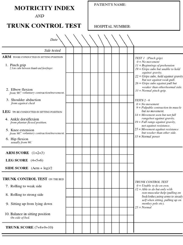 Trunck Control Test | PDF