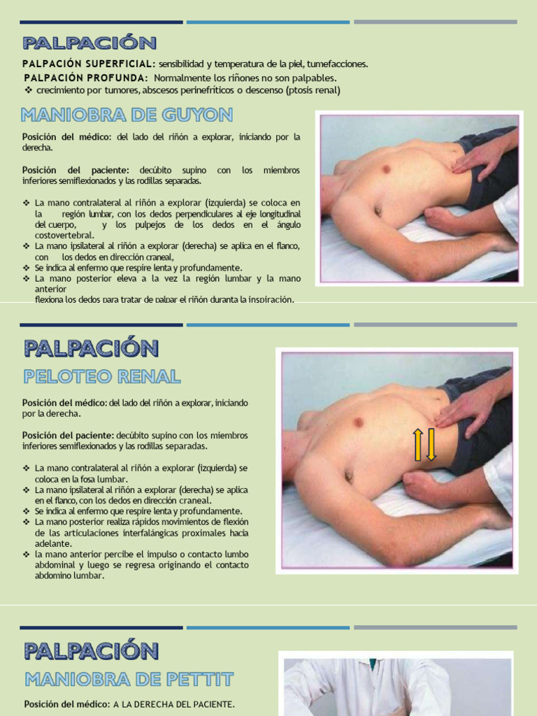 Técnicas de Palpación Renal en Exámenes Médicos | PDF | Términos ...