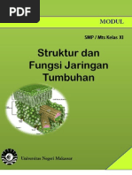 Download MODUL Struktur Tumbuhan  by Irmawati SN94170126 doc pdf