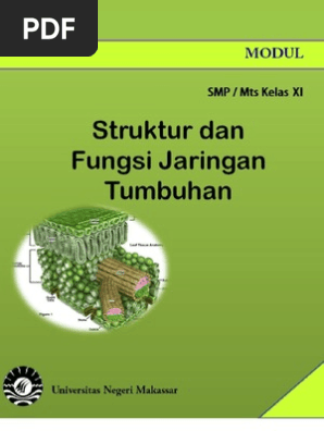 Manfaat Struktur Jaringan Tumbuhan Dalam Teknologi 