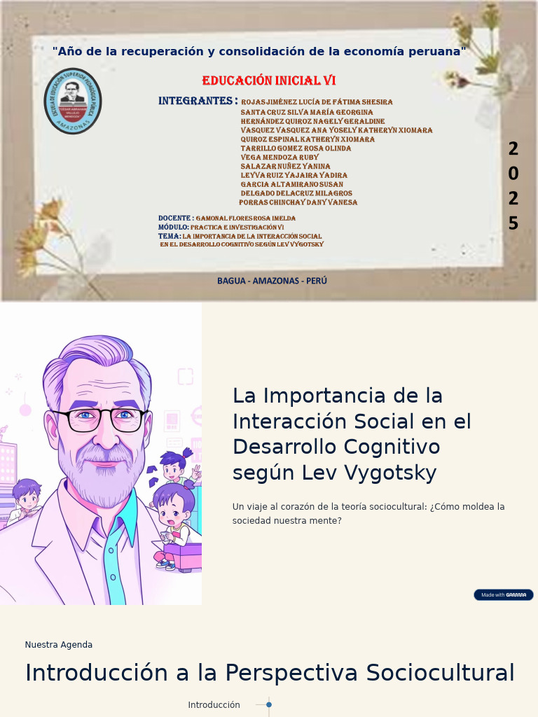 La Importancia de La Interaccion Social en El Desarrollo Cognitivo ...