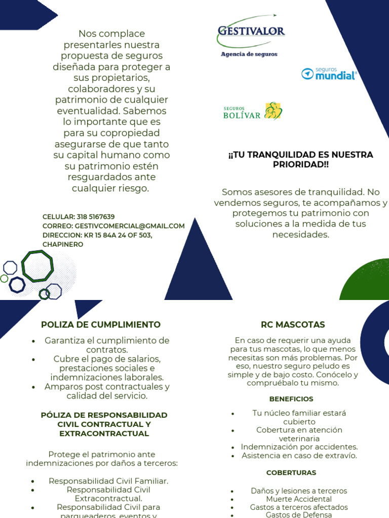 Propuestas de Seguros Personalizados | PDF | Póliza de seguros | Seguro