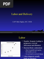 Labor and Delivery
