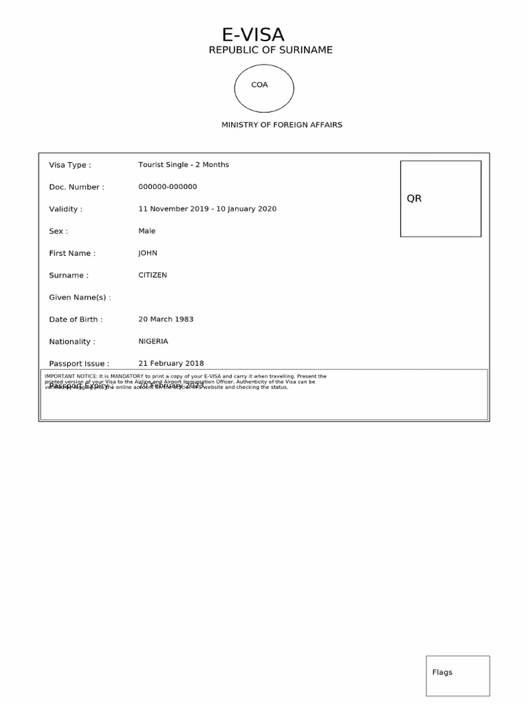 clean-evisa-pdf