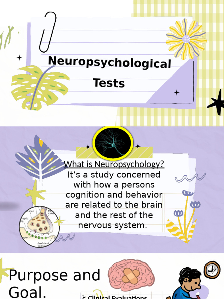Understanding Neuropsychological Tests | PDF | Neuropsychology ...