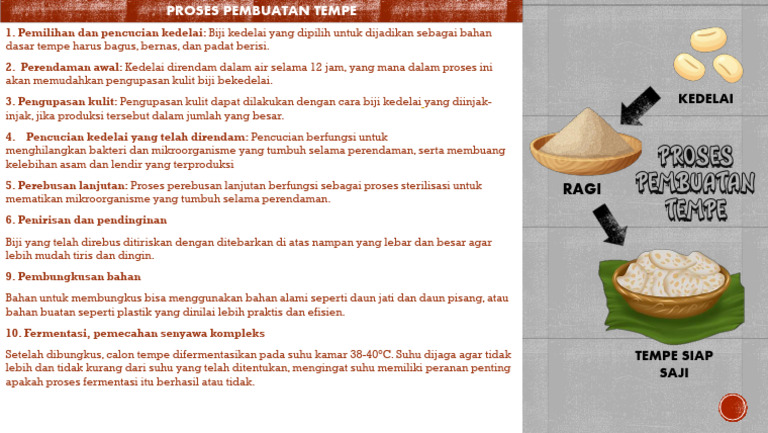 Proses Pembuatan Tempe | PDF