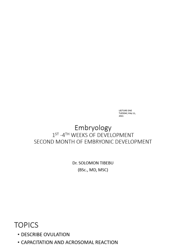 Embryonic Development: Weeks 1-4 Overview | PDF | Fertilisation ...