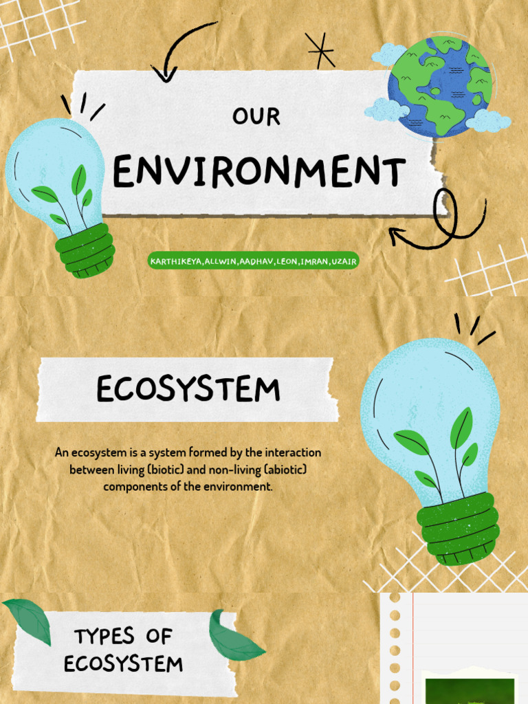 Understanding Ecosystems and Their Components | PDF | Ecosystem | Ozone ...