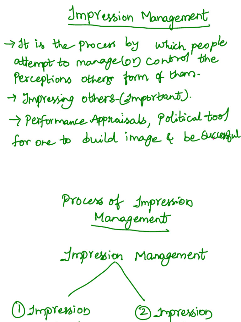 Impression Management | PDF
