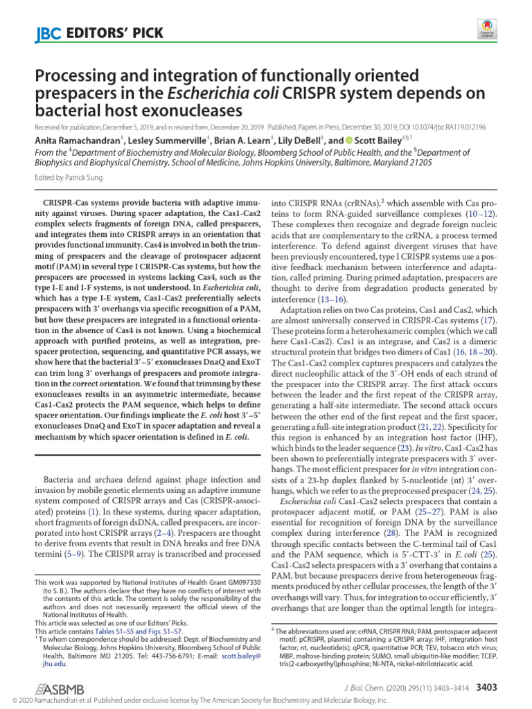 E. Coli Crispr System Depends On Bacterial Host Exonuclease | PDF ...