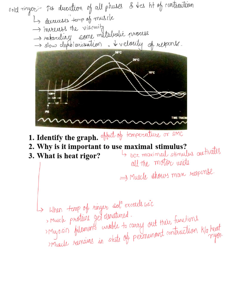 Identify The Graph. 2. Why Is It Important To Use Maximal Stimulus? 3 ...