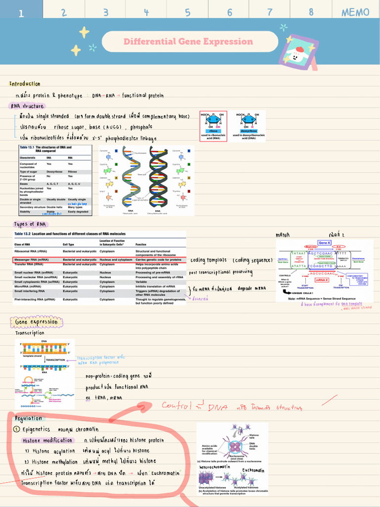 01 Differential Gene Expression | PDF