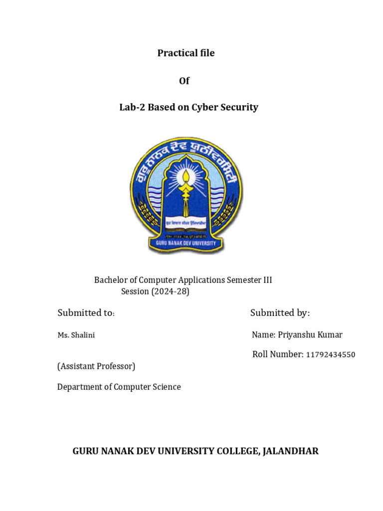 Cyber 2 | PDF