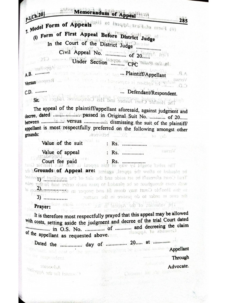 Appeal | PDF