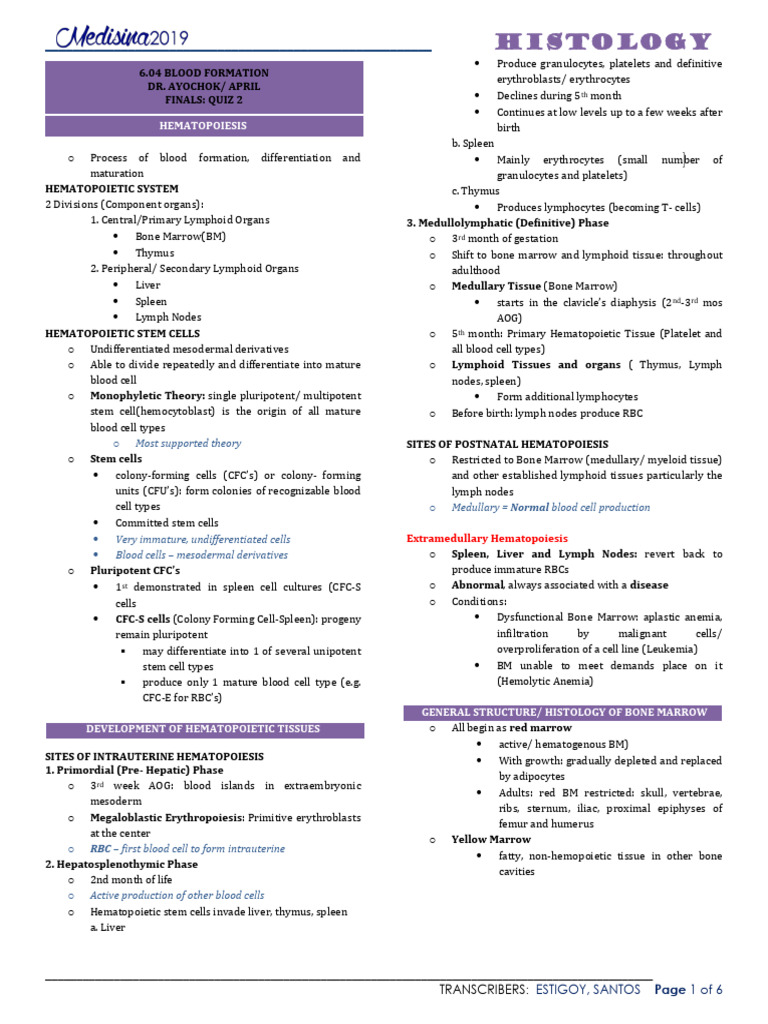 Hematopoiesis: Blood Formation Overview | PDF | Haematopoiesis | Bone ...