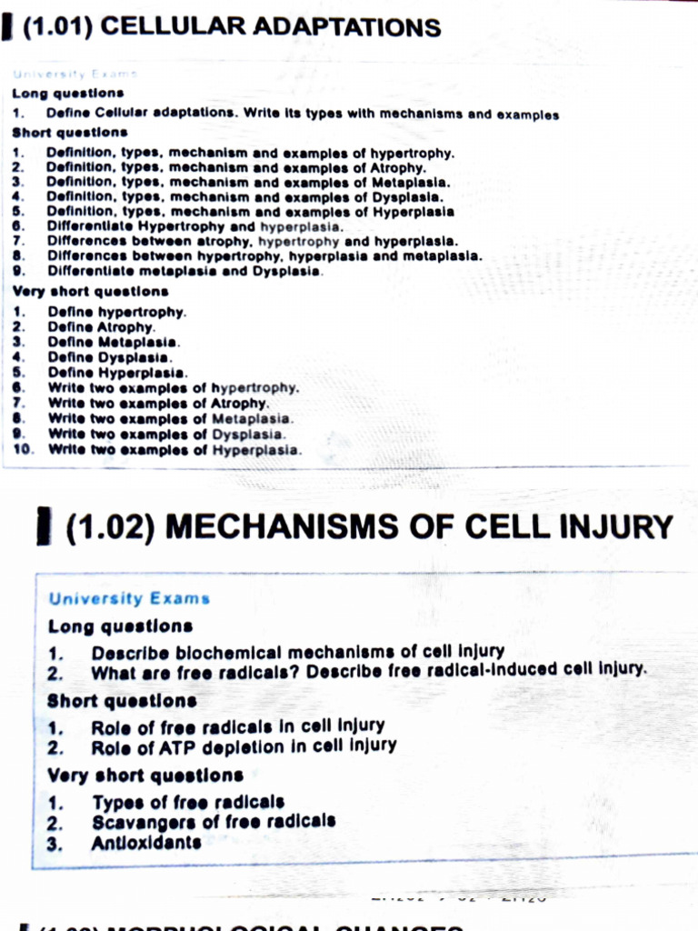 Cell Adaptations, Cell Injury and Cell Death | PDF