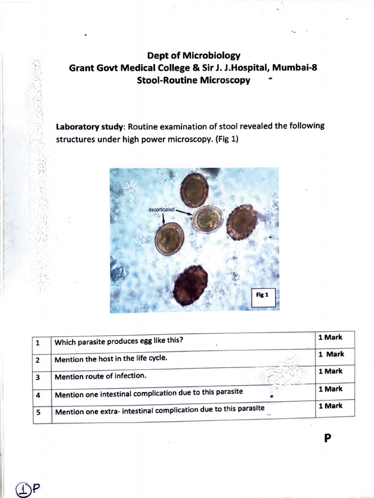 Stool Microscopy and Parasite Identification | PDF | Parasitism | Infection
