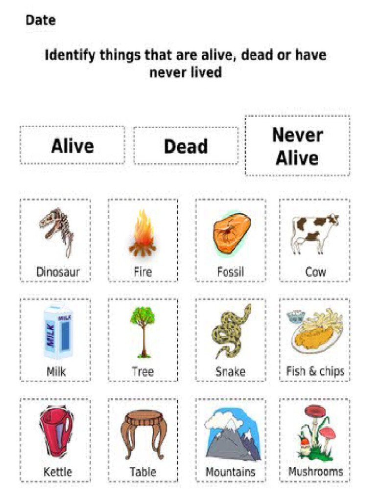 Alive and Not Alive | PDF