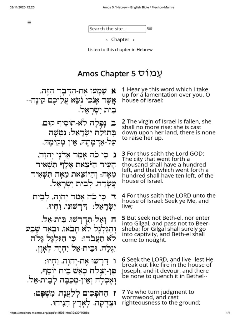 Amos 5: Lamentation and Justice | PDF