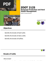 Bovine Breed Codes List | PDF | Livestock | Mammal Breeds